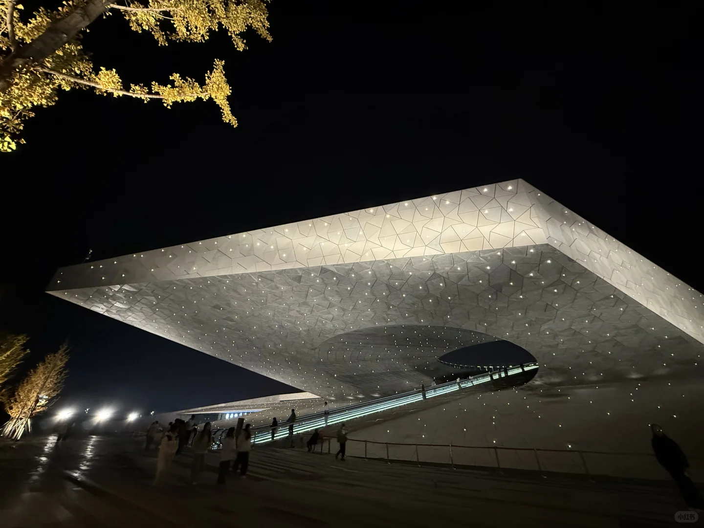 太原植物园，感谢昆凌，建筑美到失语！