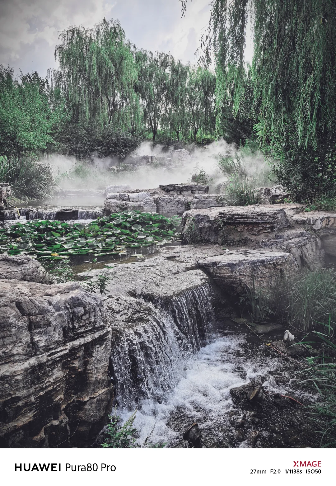 太原植物园—在华北最大温室群畅享森系治愈