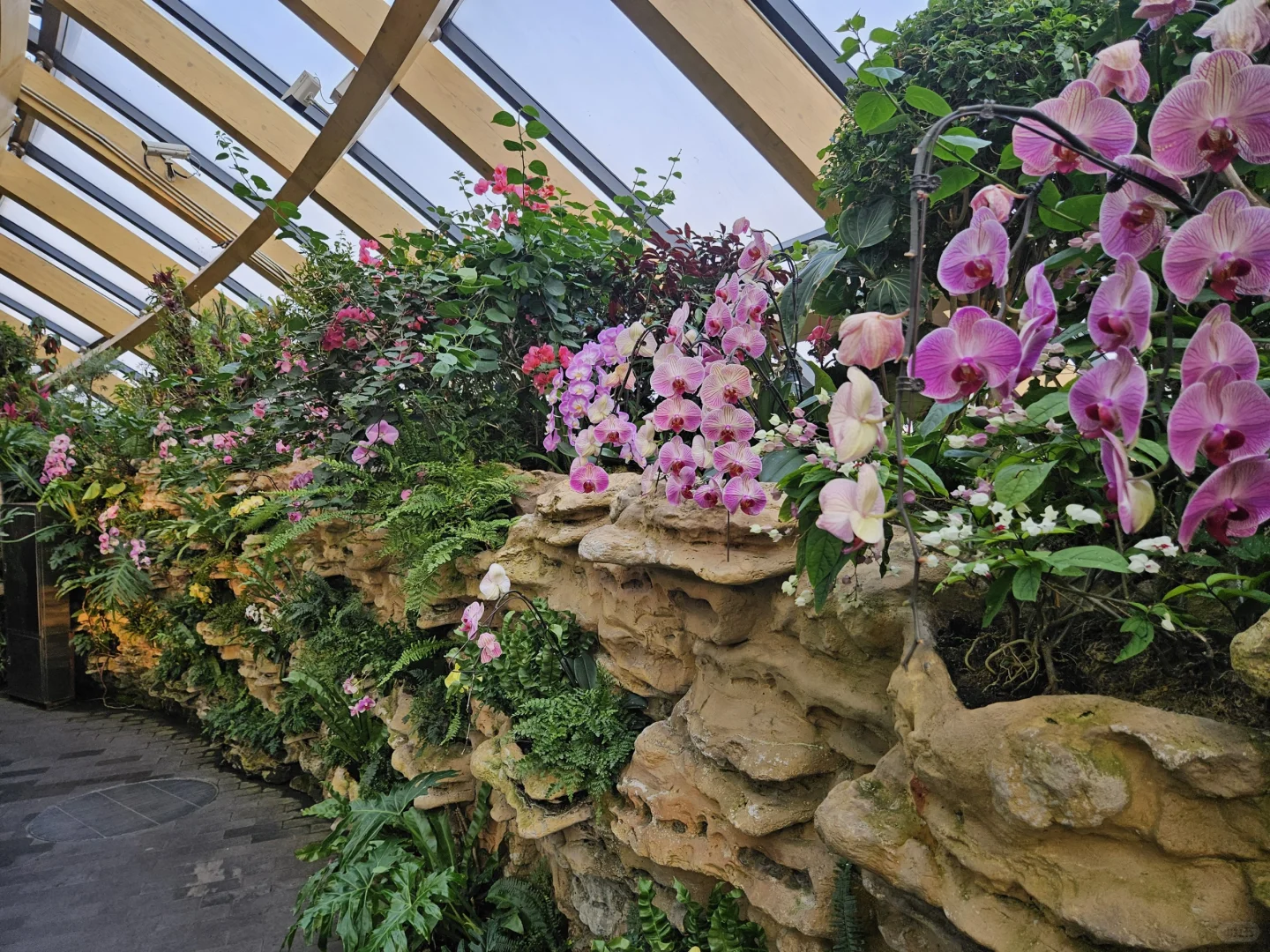 太原植物园网红电梯值得吗？实测