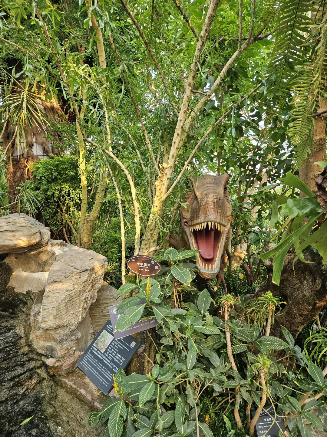 太原植物园网红电梯值得吗？实测