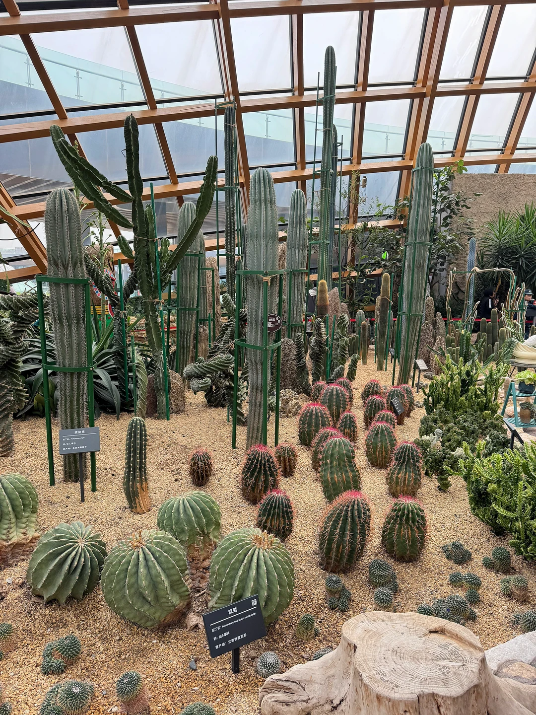 太原植物园，星空扶梯才是这里的主角