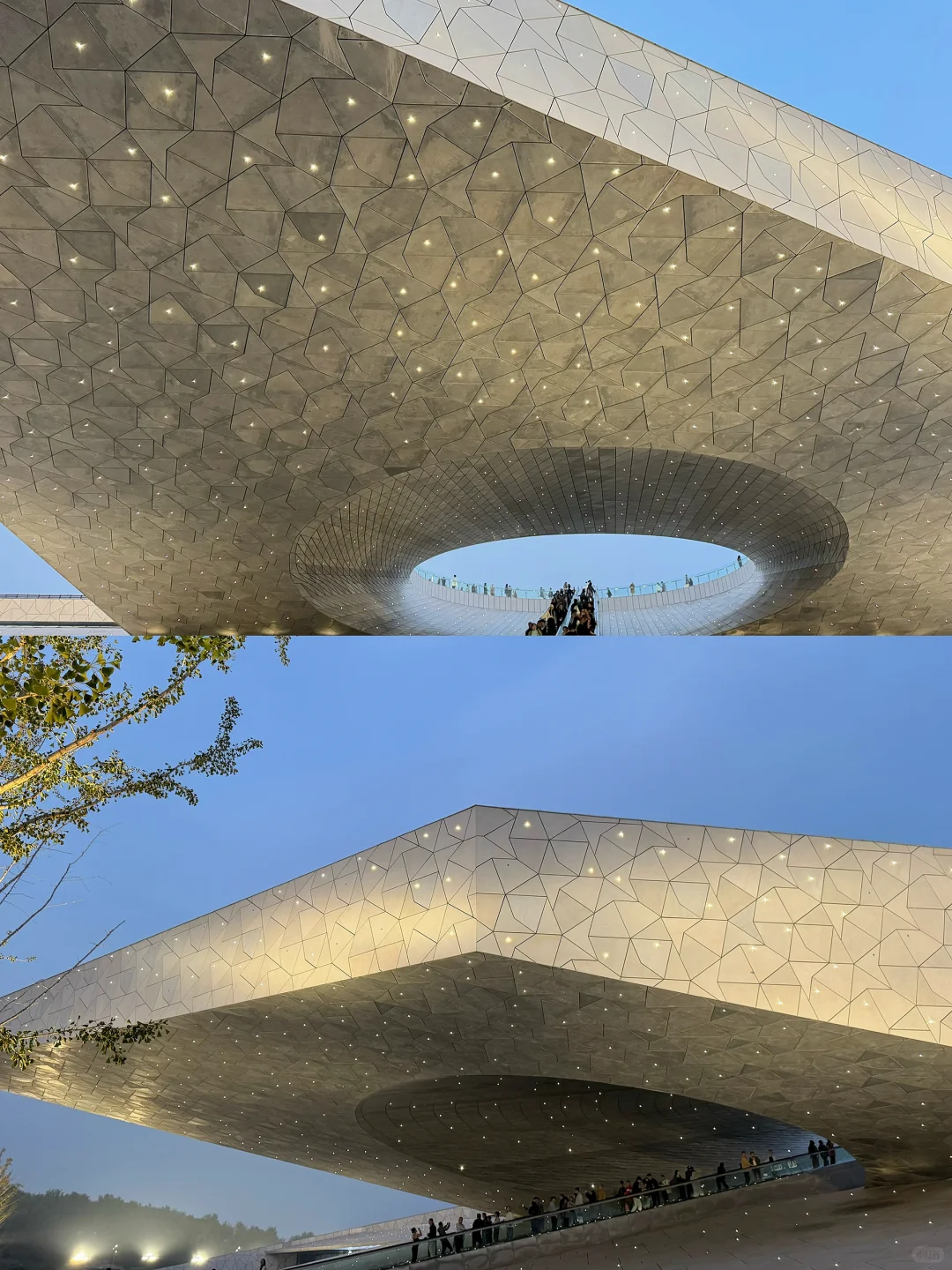 太原植物园，星空扶梯才是这里的主角