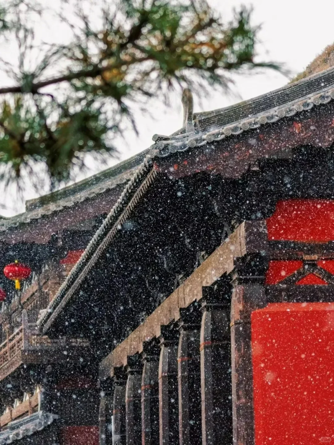 抬头即雪！❄️大同的雪，必加入人生清单！