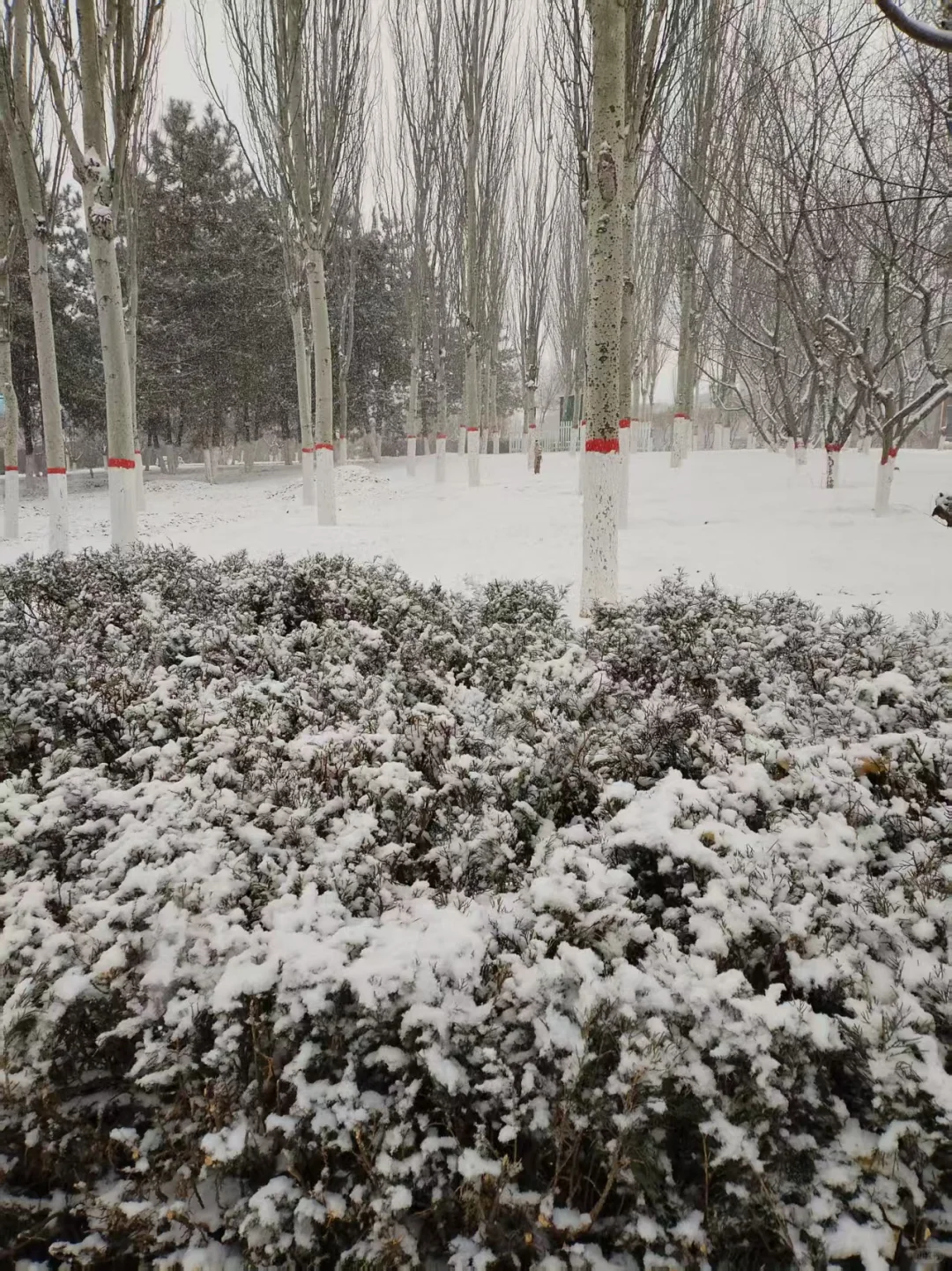 12月12日，大同大雪