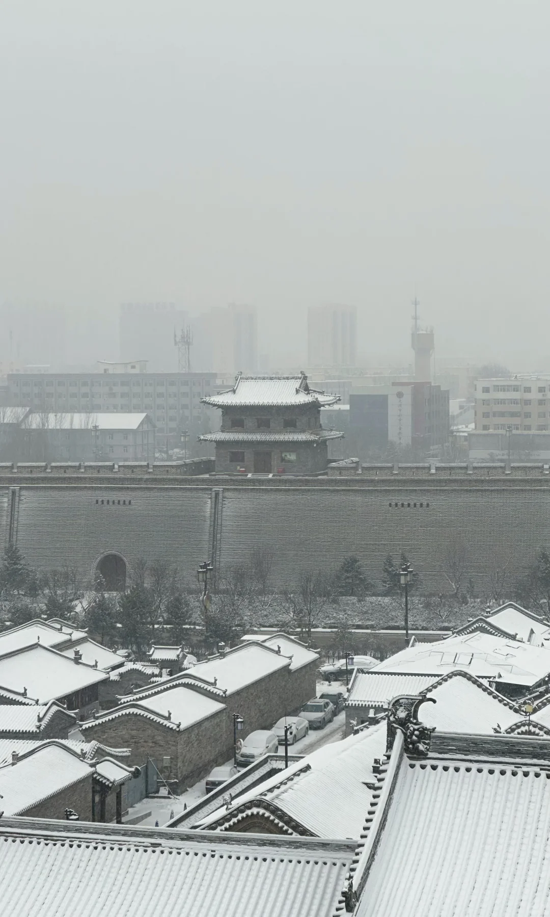 古都下雪那天，我的脸比心先稳住了