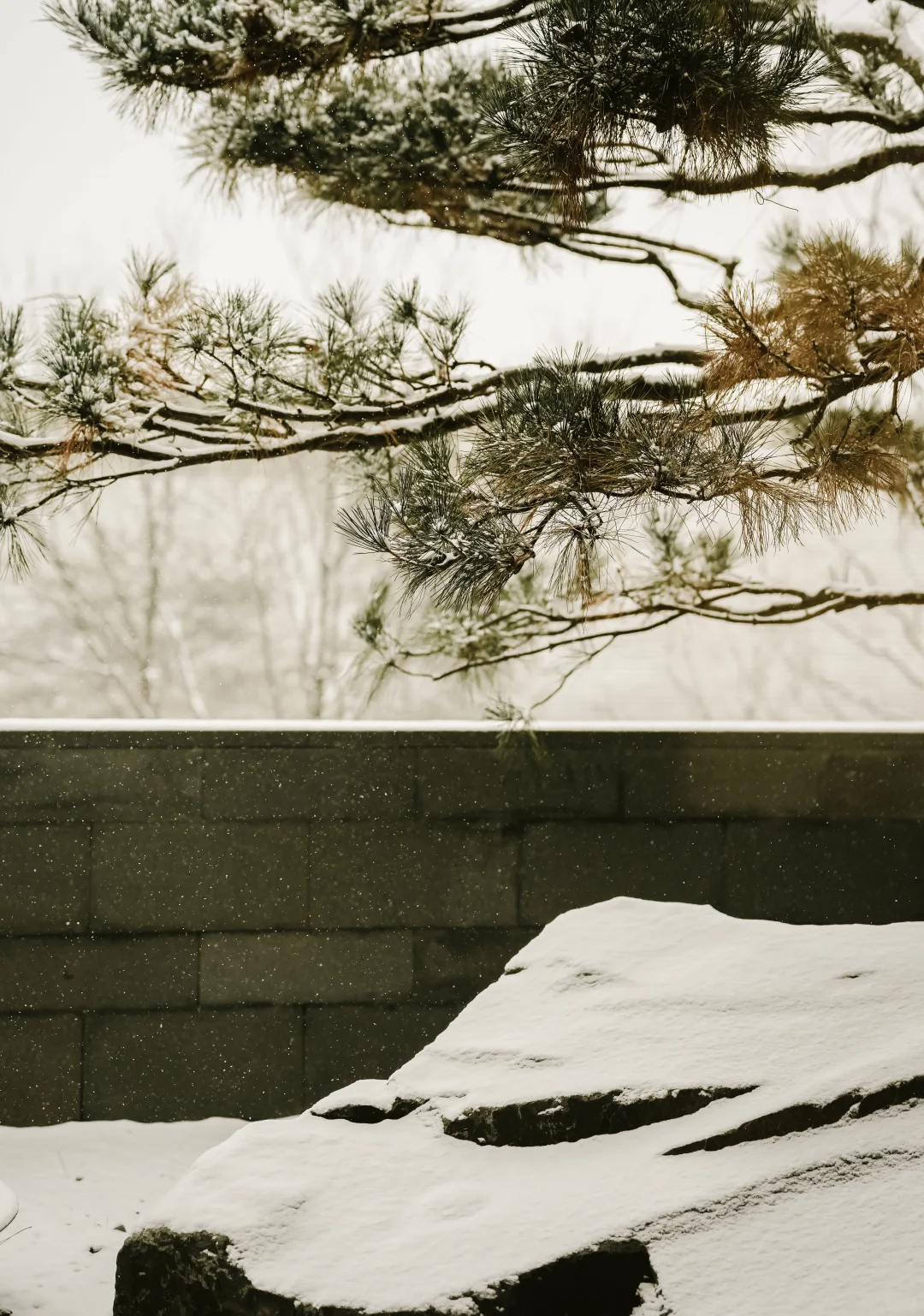 一下雪，大同就变成了平城