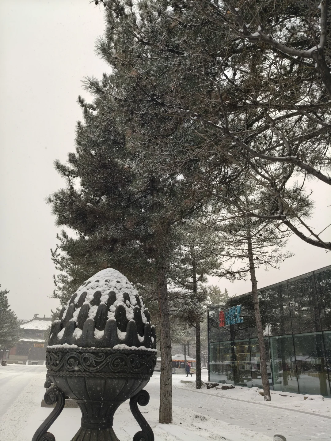 云冈石窟12.12大雪实况！！雪景美疯了！！
