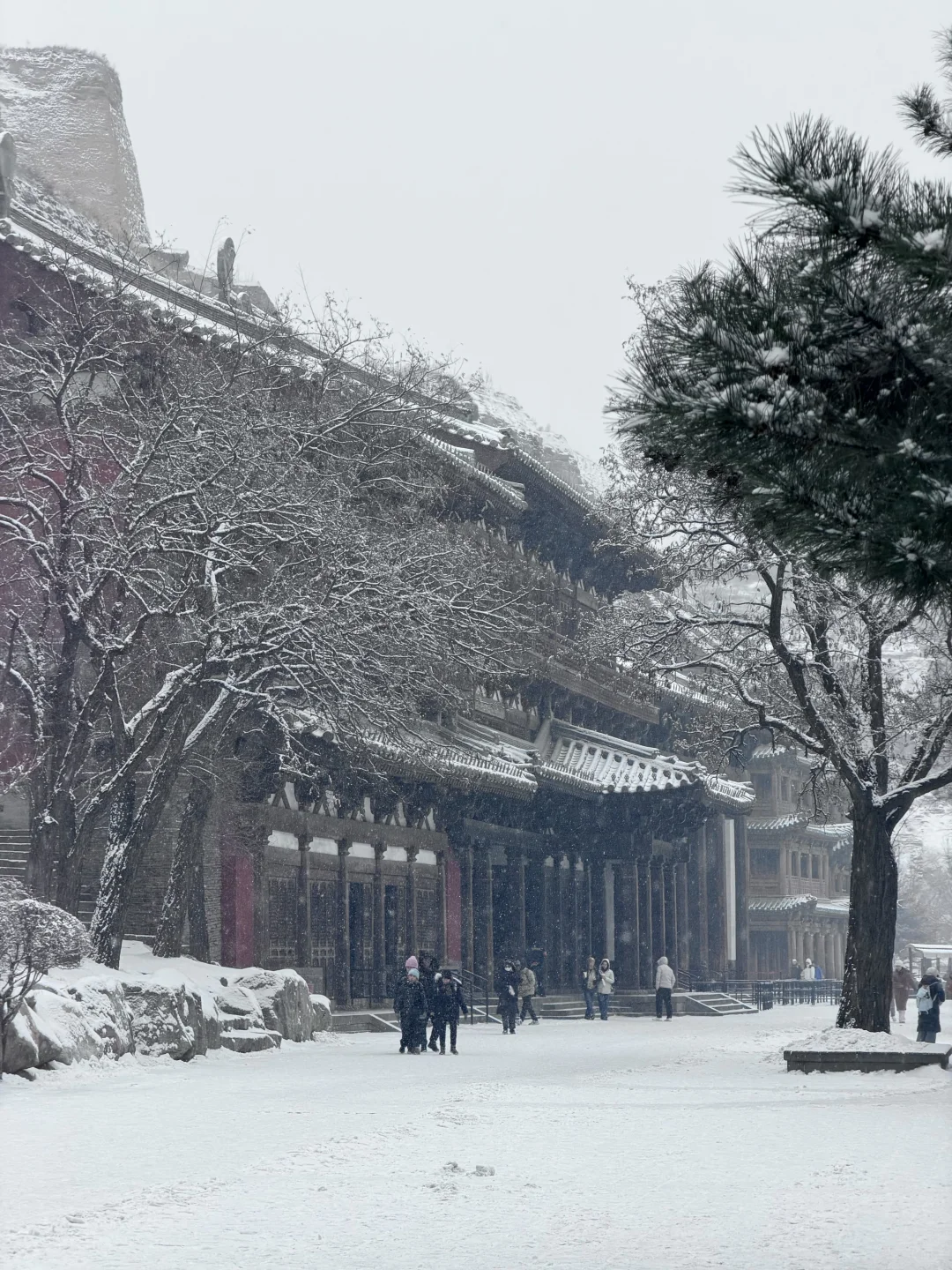 12.12 live❄️一下雪，大同便回到了平城