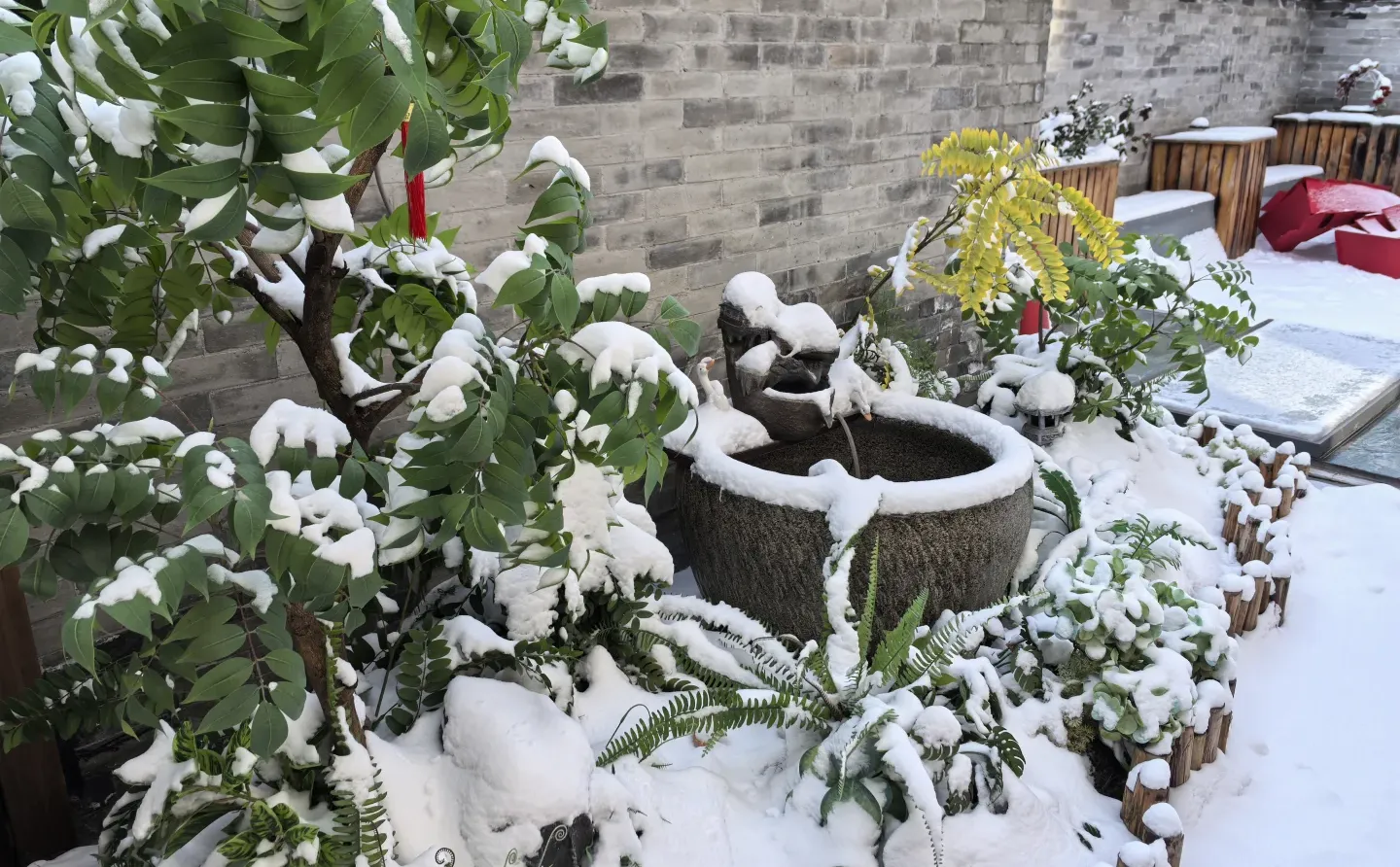 在中国，一定要到大同来看雪