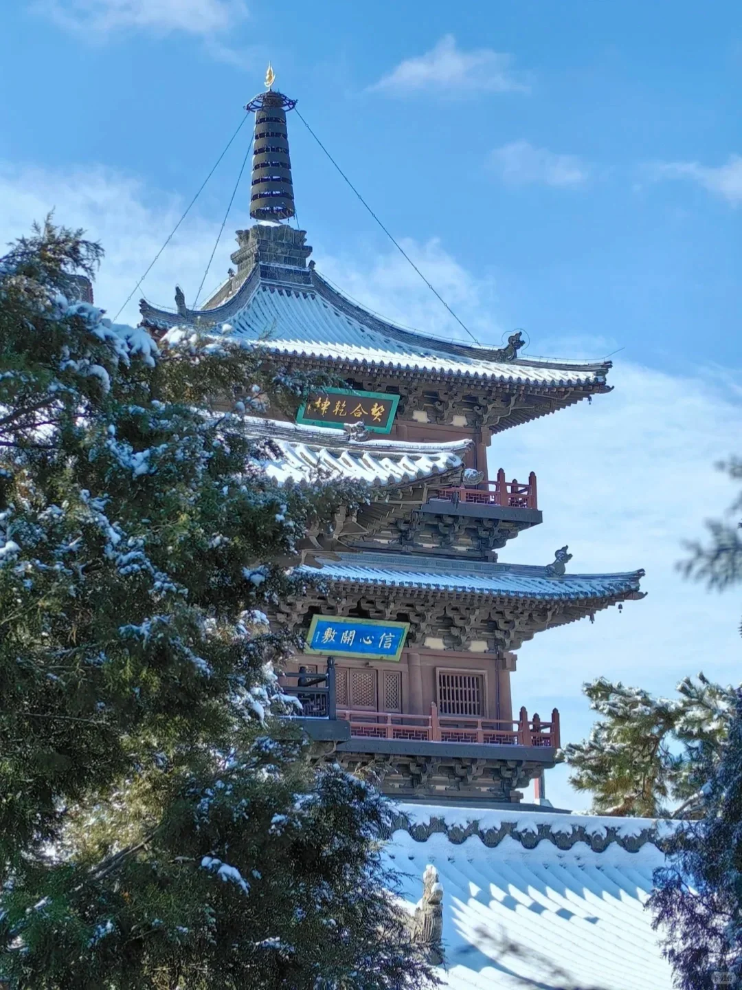 抬头即雪！❄️大同的雪，必加入人生清单！