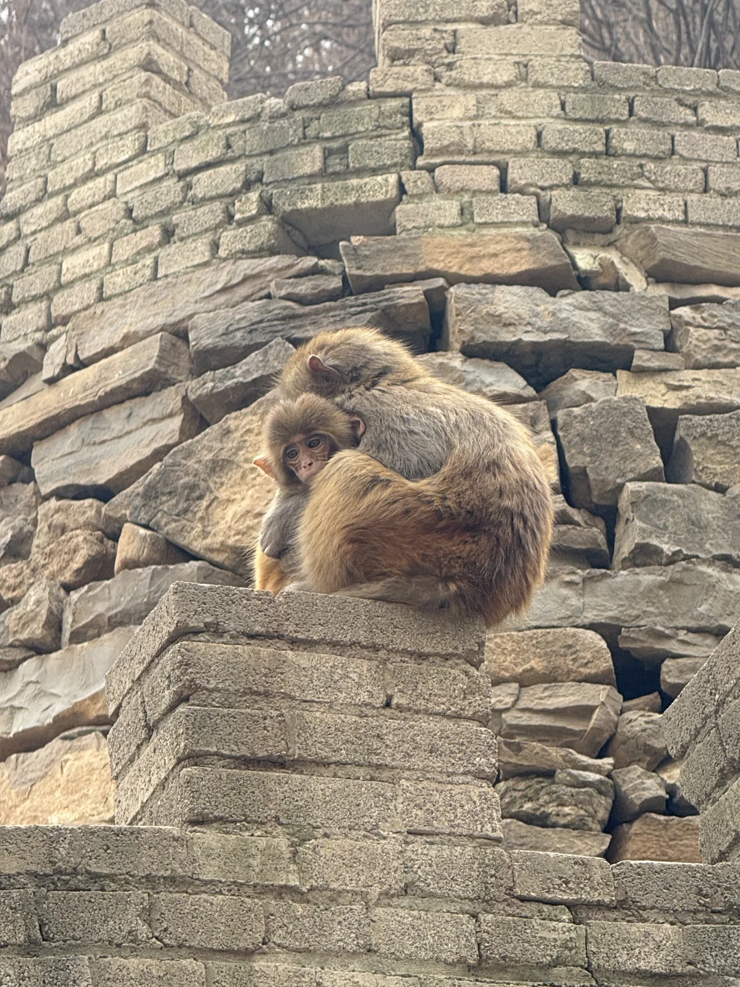 长治｜被低估的晋东南宝藏小城