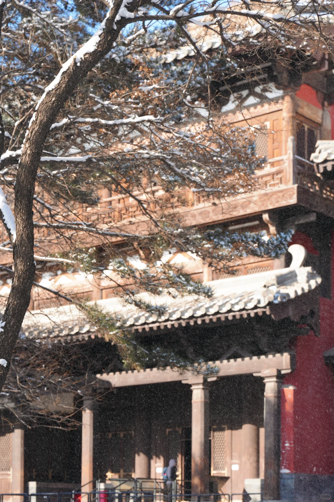 冬日北上，是为朝圣。