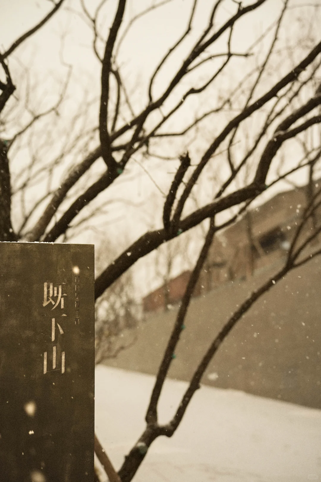 一下雪，大同就变成了平城