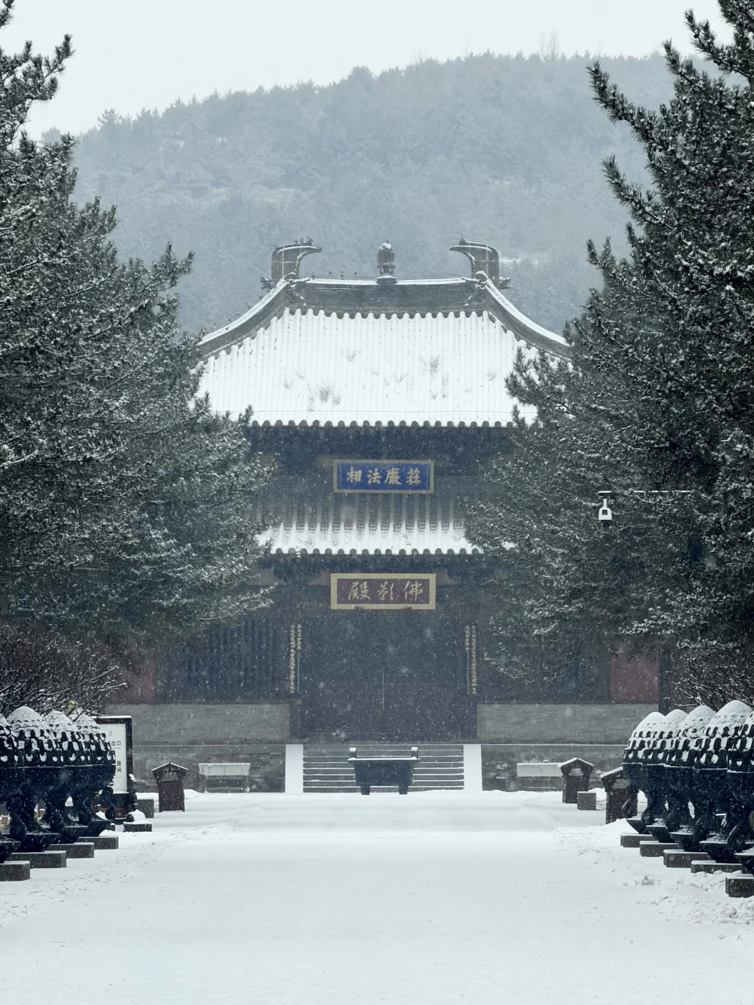 12.12 live❄️一下雪，大同便回到了平城