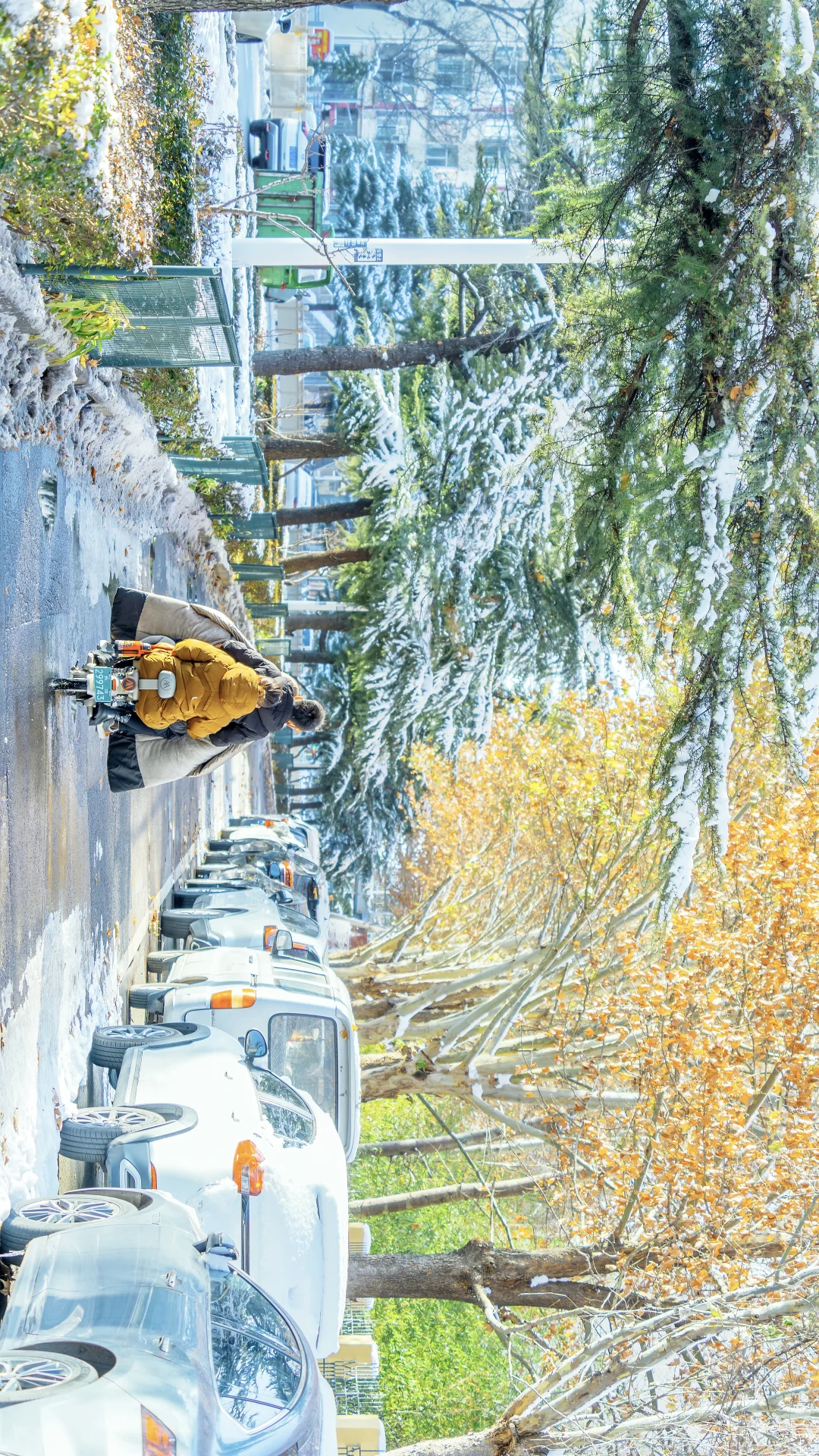 长治湿地的雪-北海道平替