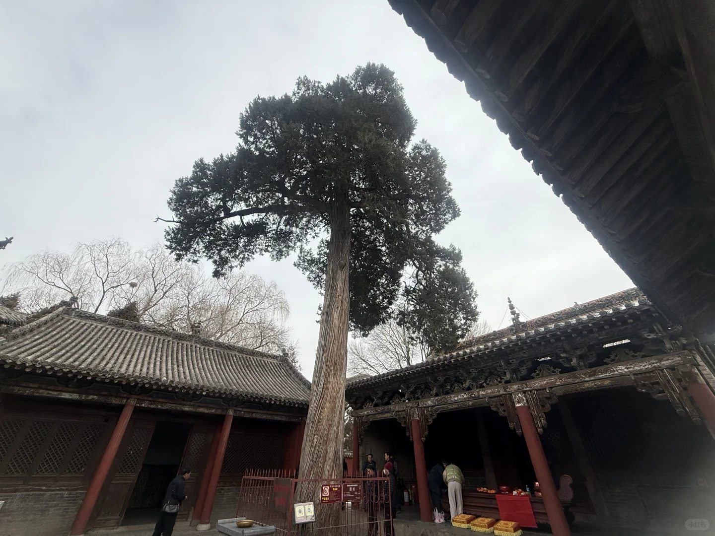 长治｜被低估的晋东南宝藏小城