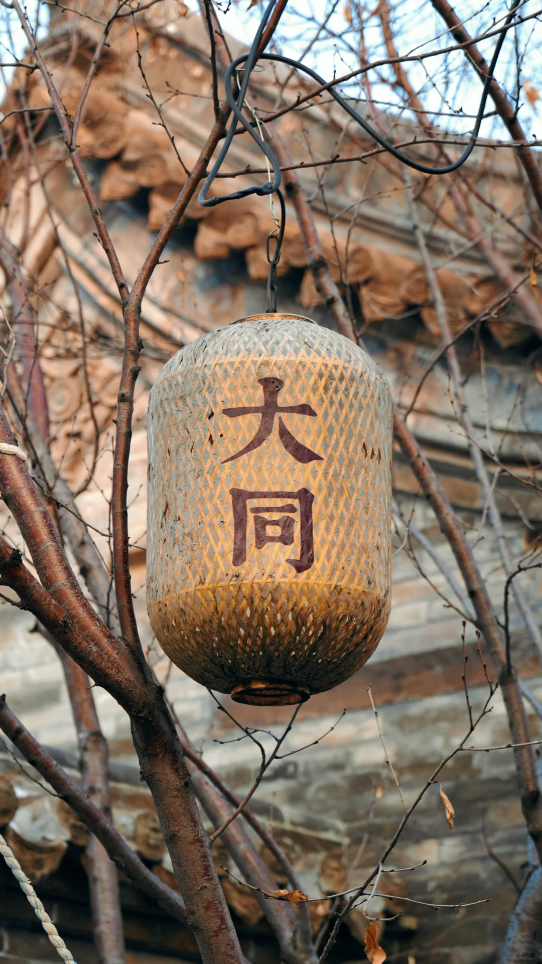 冬日北上，是为朝圣。