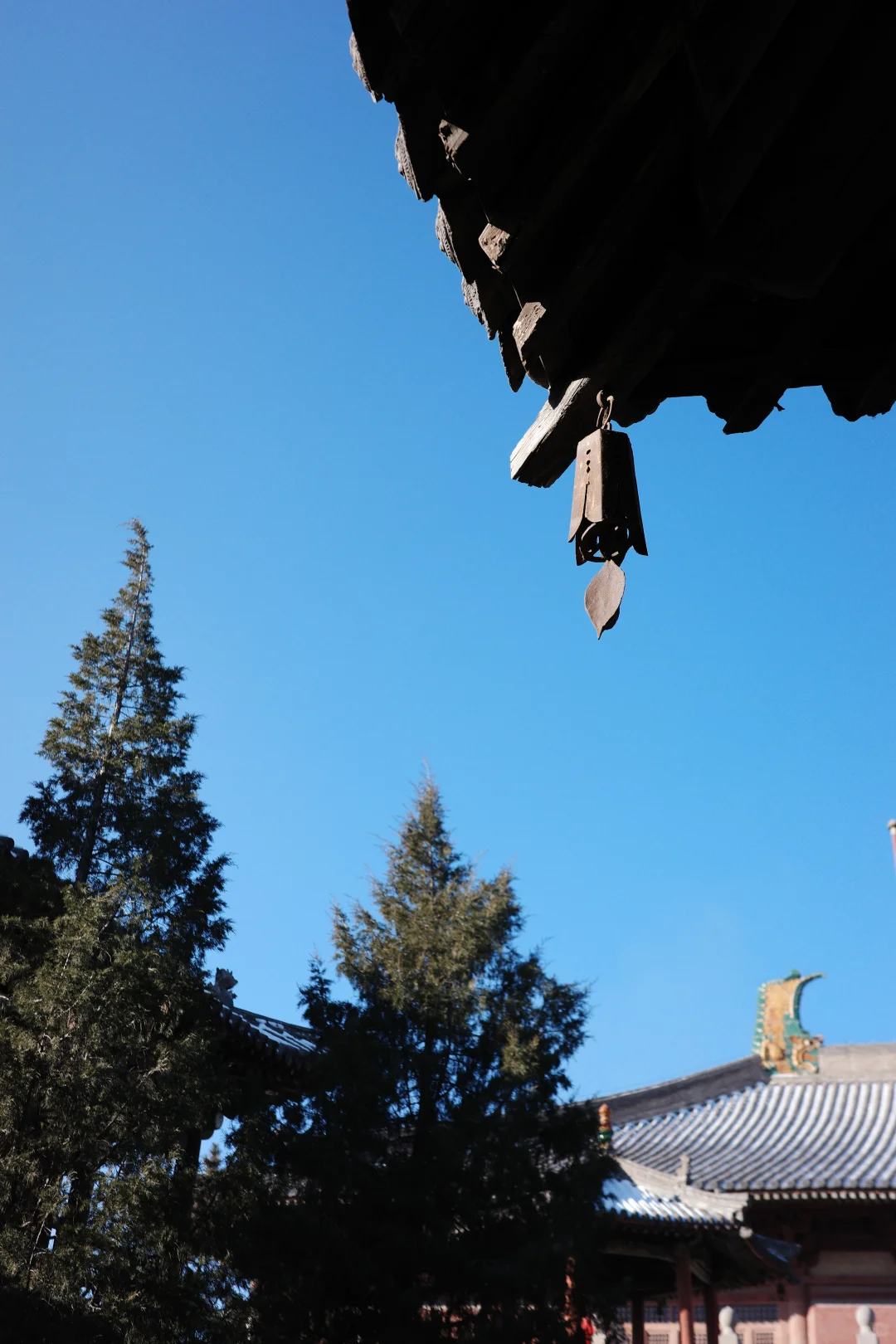 那一刹那，人生稀有