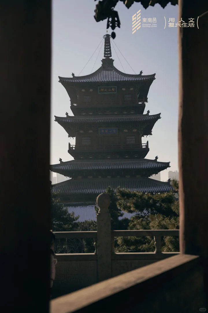 天下大同，艺术大同❤️