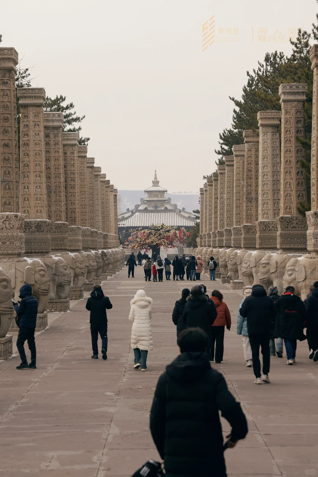 天下大同，艺术大同❤️