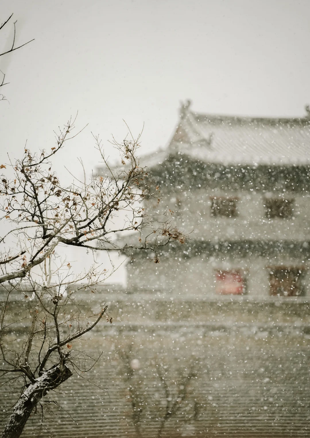 一下雪，大同就变成了平城