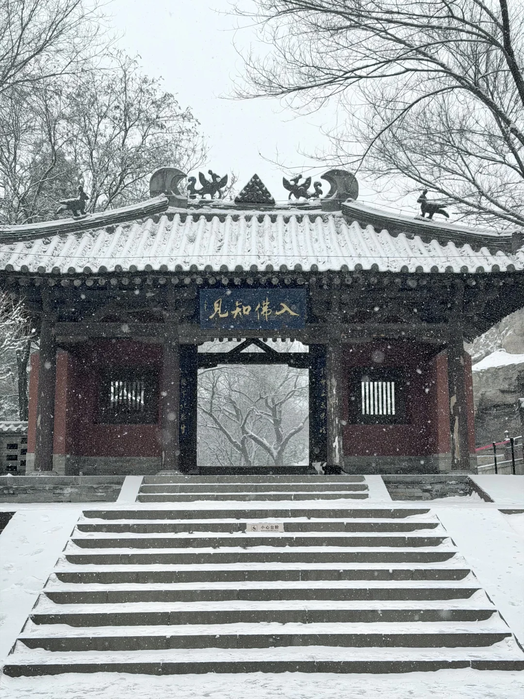 12.12 live❄️一下雪，大同便回到了平城