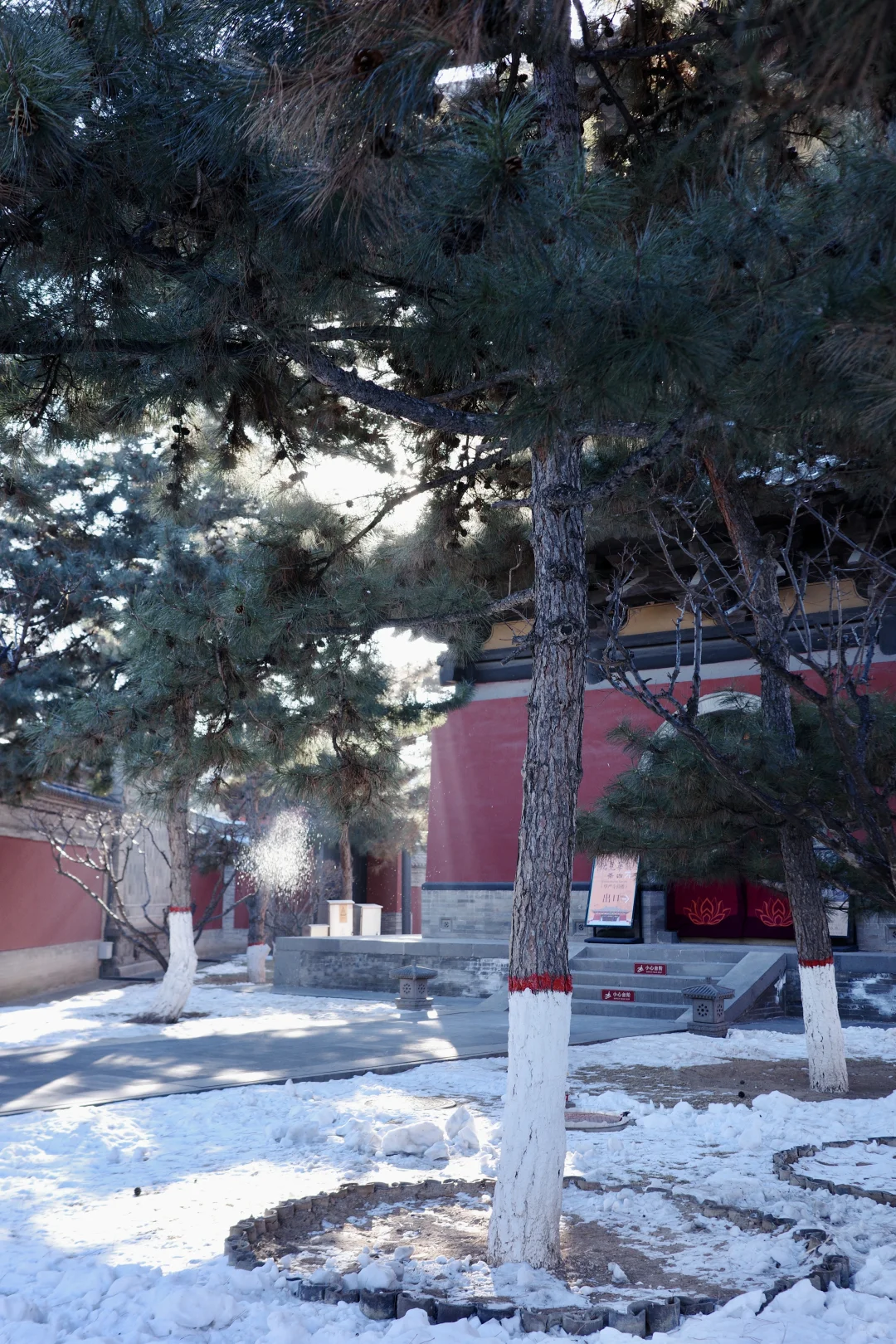 那一刹那，人生稀有