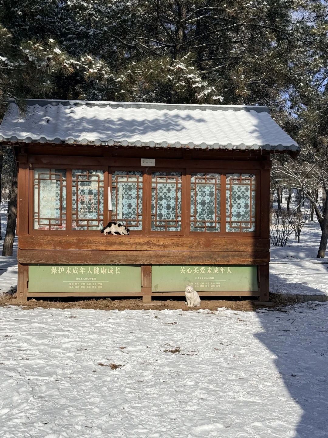 大同这温度也太黑人了