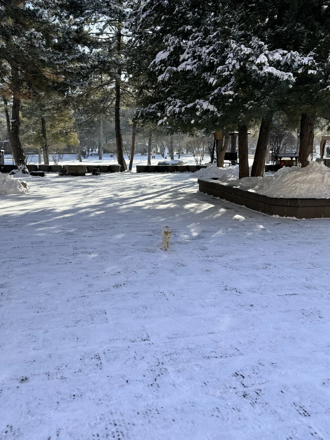 大同这温度也太黑人了