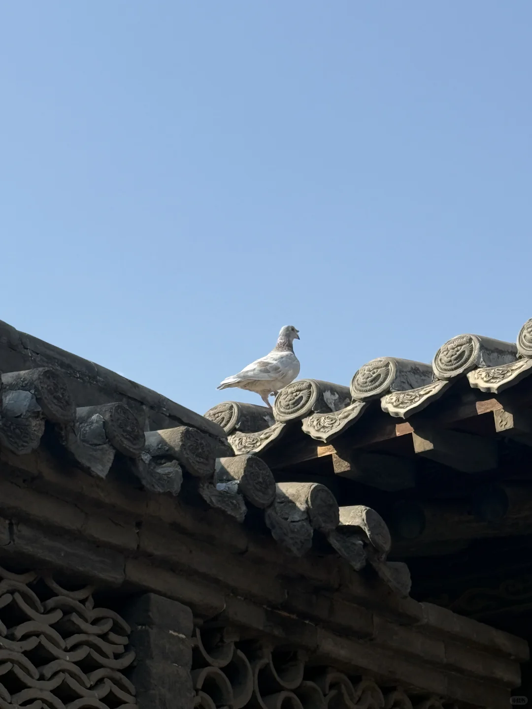 以后要经常去大同了