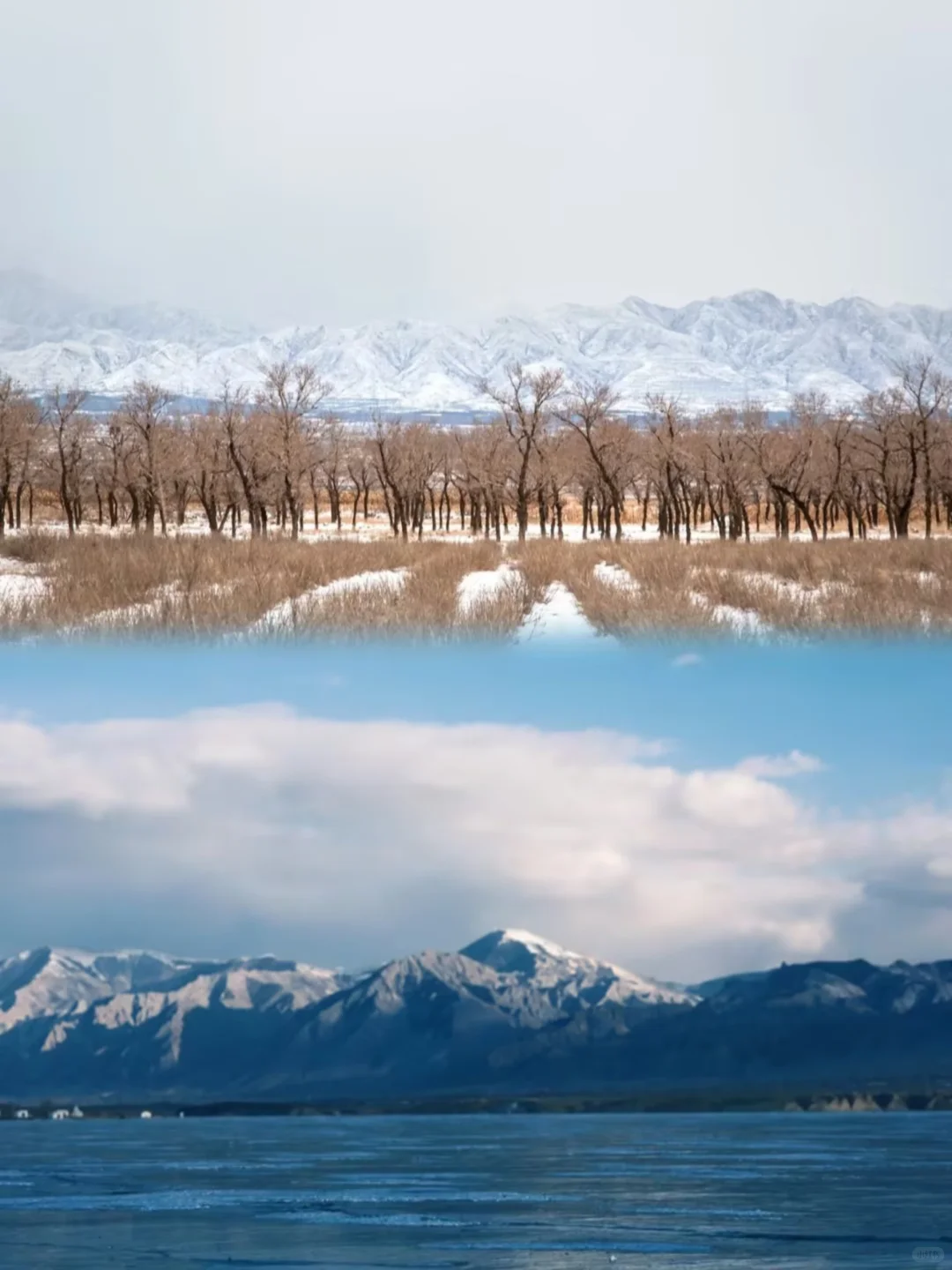 抬头即雪！❄️大同的雪，必加入人生清单！