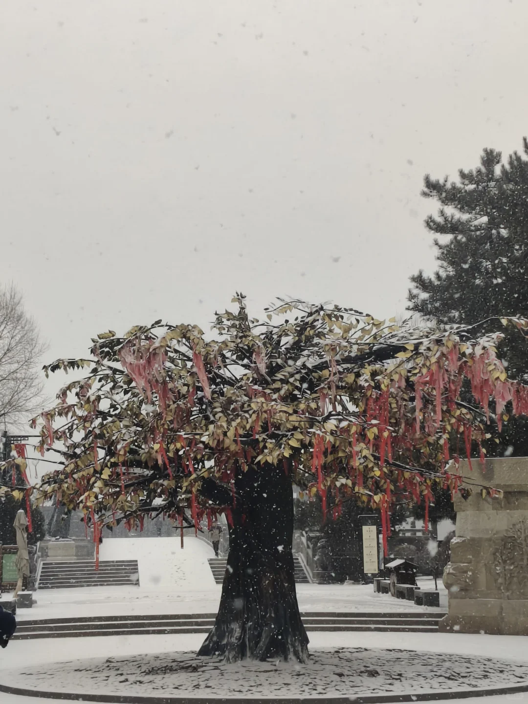 云冈石窟12.12大雪实况！！雪景美疯了！！