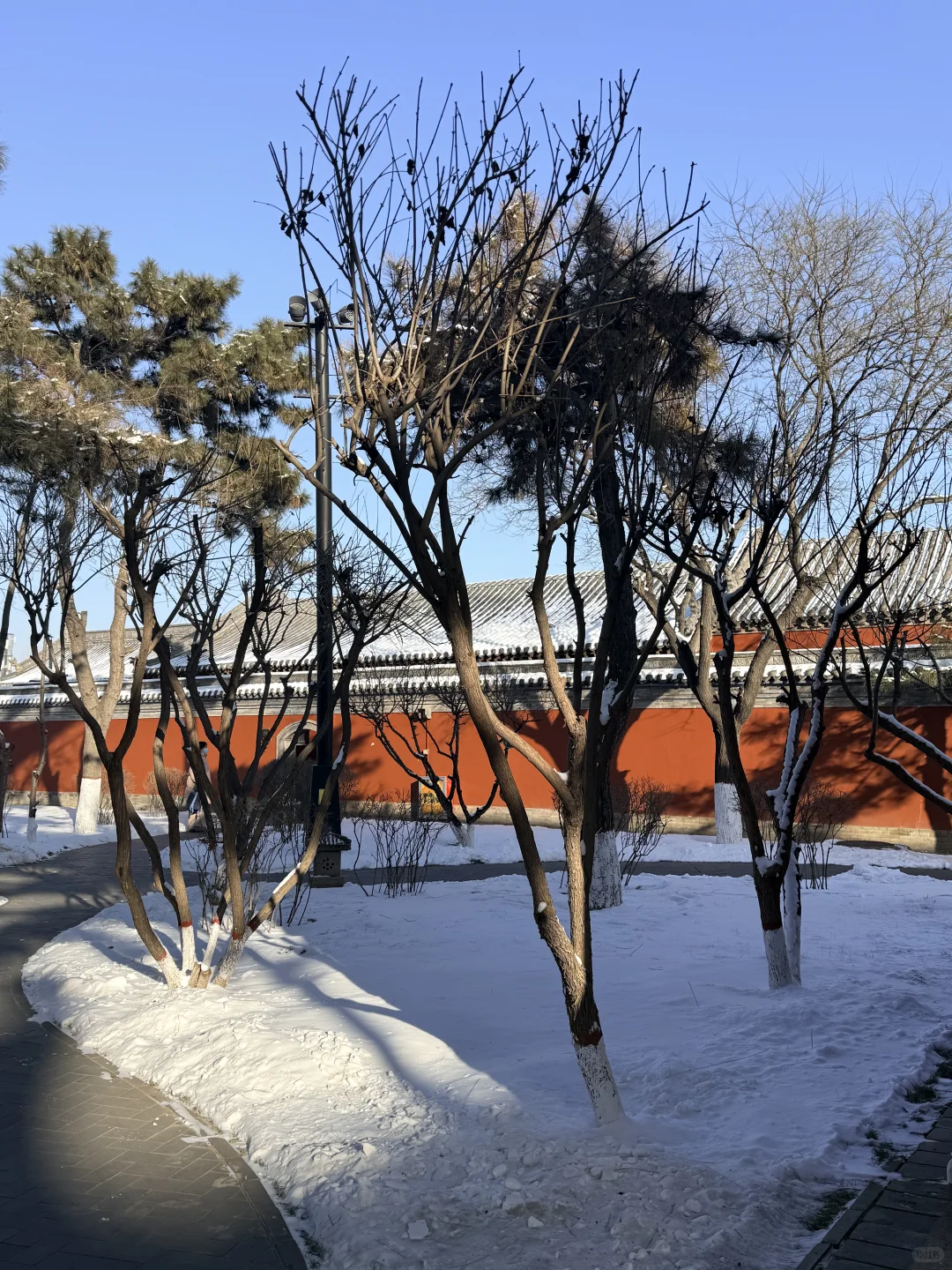 大同这温度也太黑人了