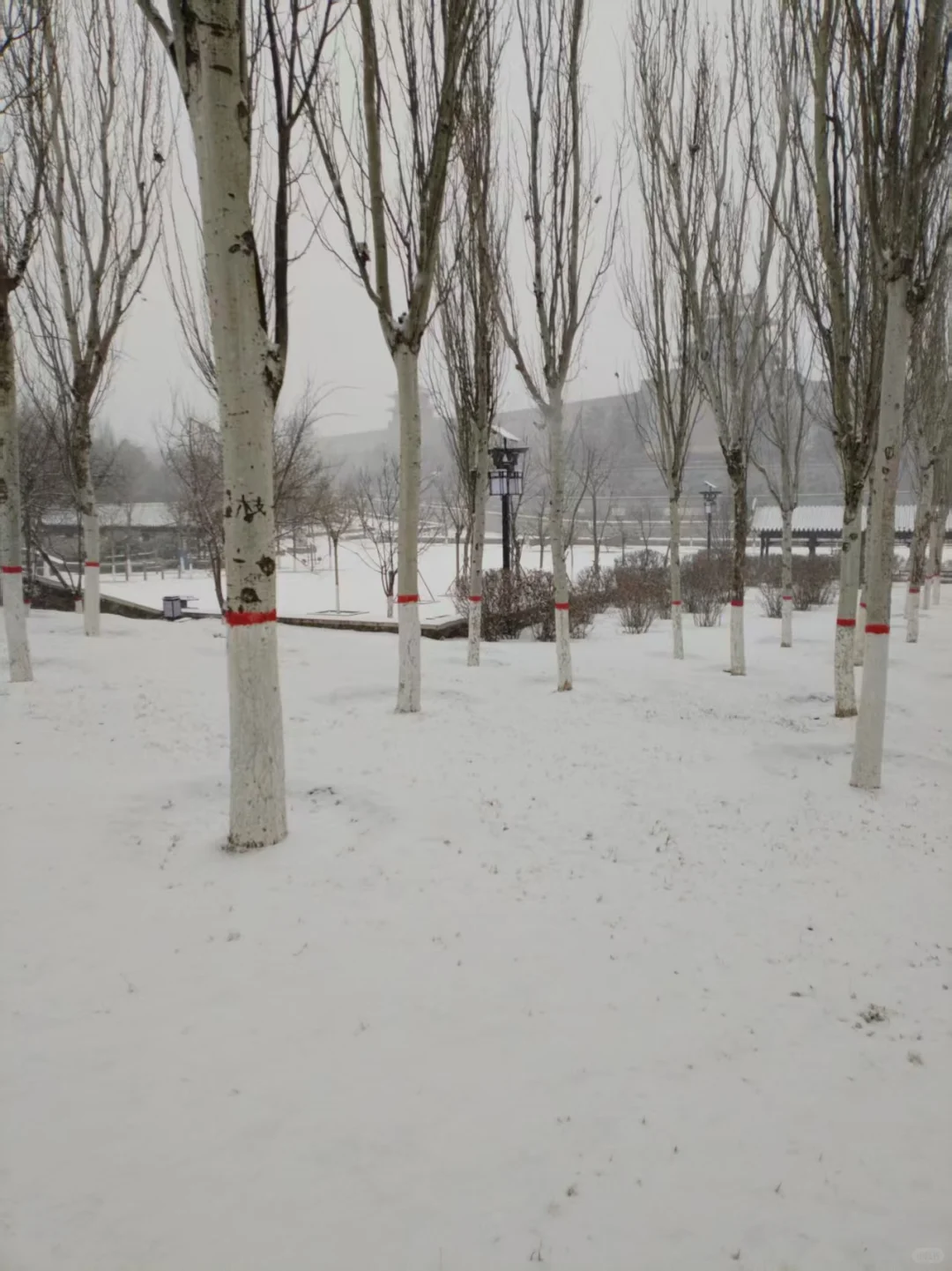 大同我一走你就下雪了🙏🙄