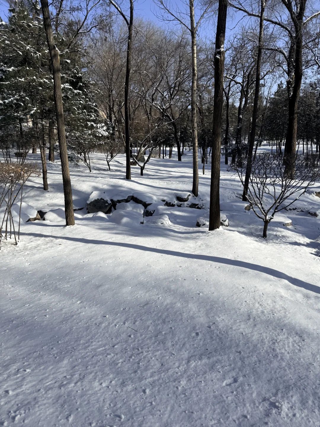 大同这温度也太黑人了