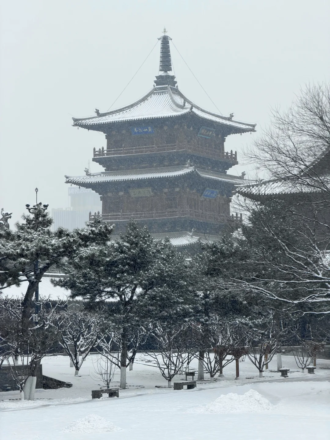 12.12 live❄️一下雪，大同便回到了平城