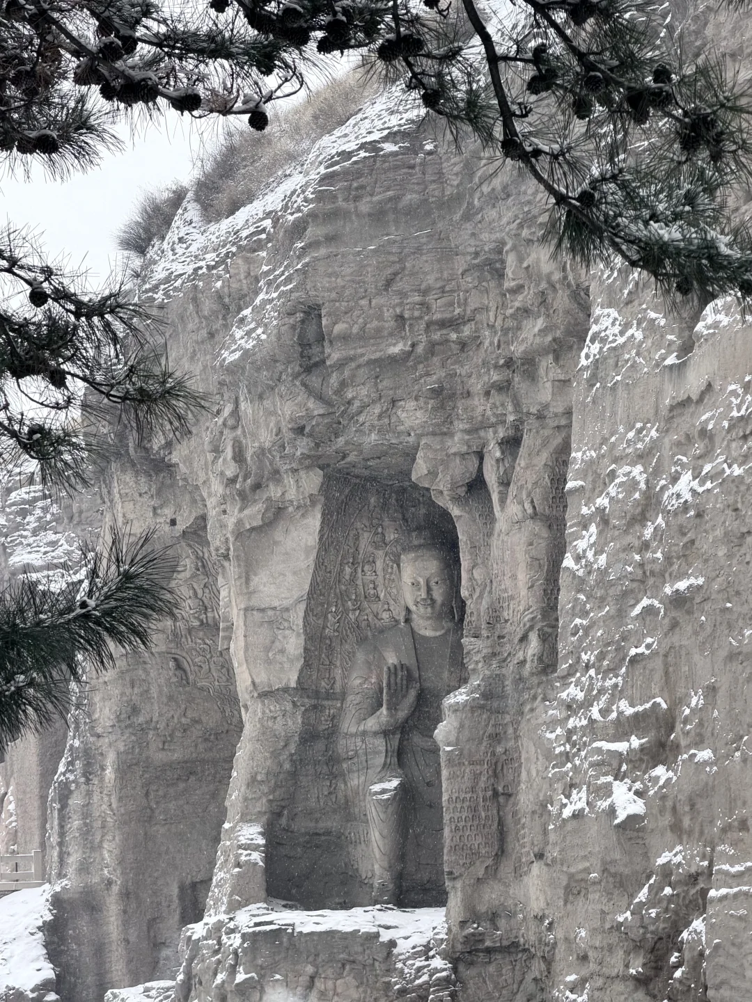 12.12 live❄️一下雪，大同便回到了平城