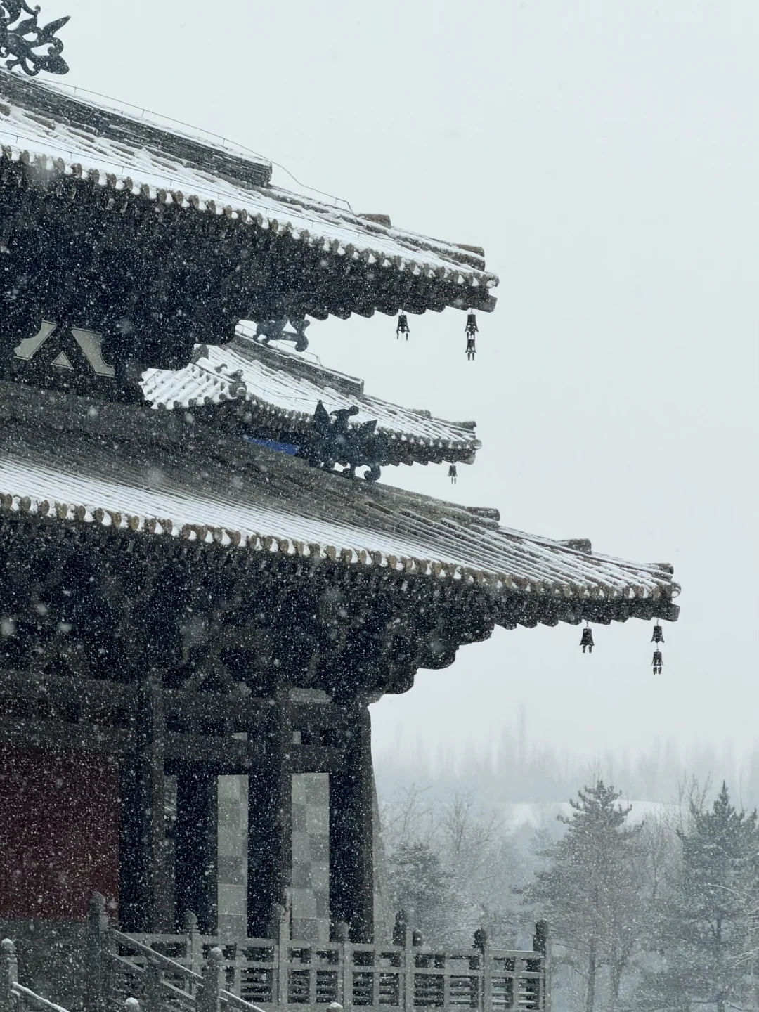 12.12 live❄️一下雪，大同便回到了平城