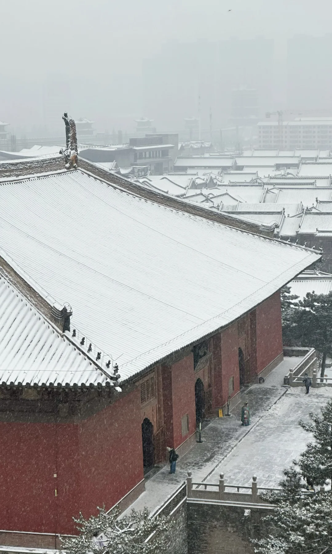 古都下雪那天，我的脸比心先稳住了