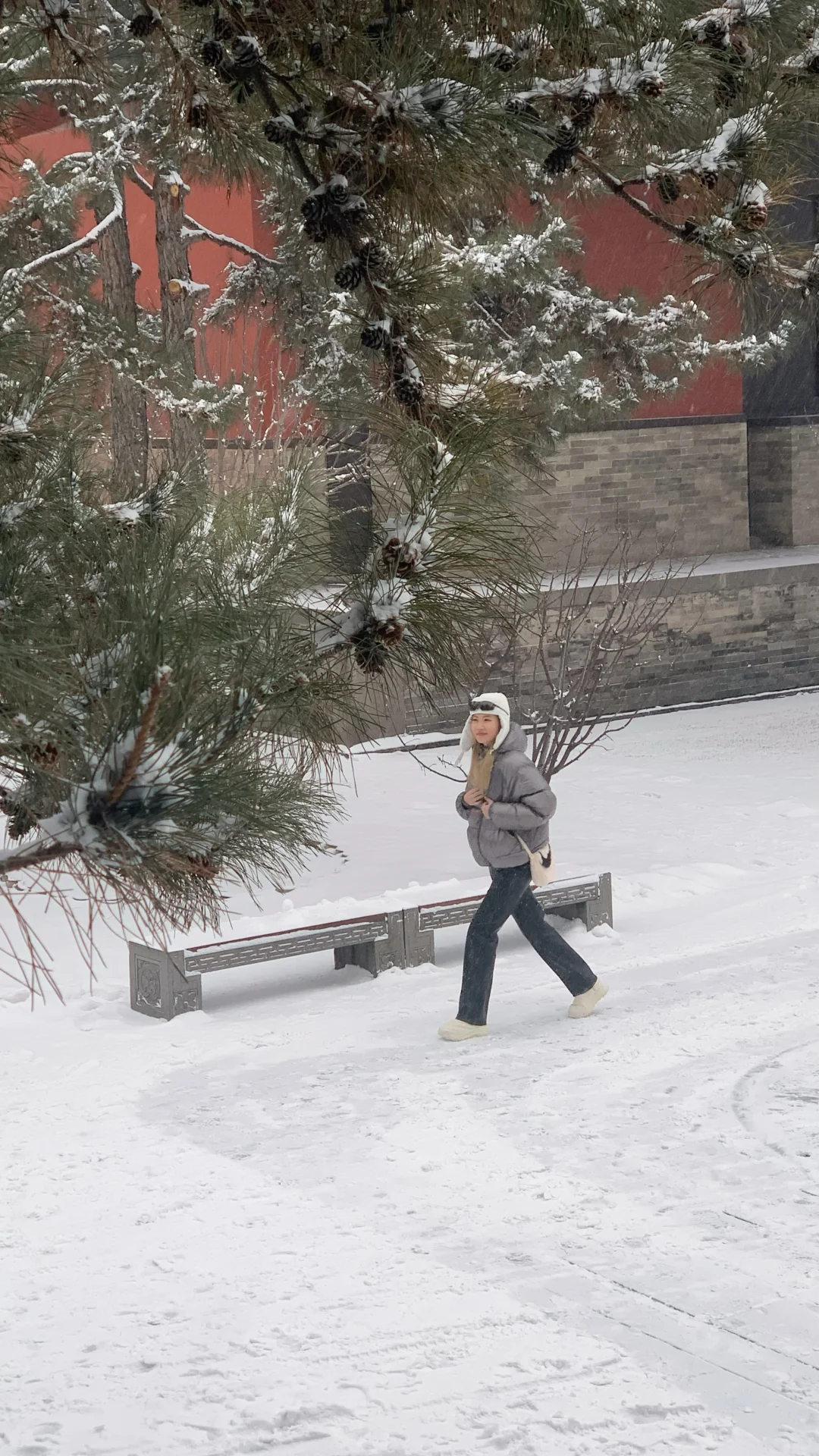 古都下雪那天，我的脸比心先稳住了