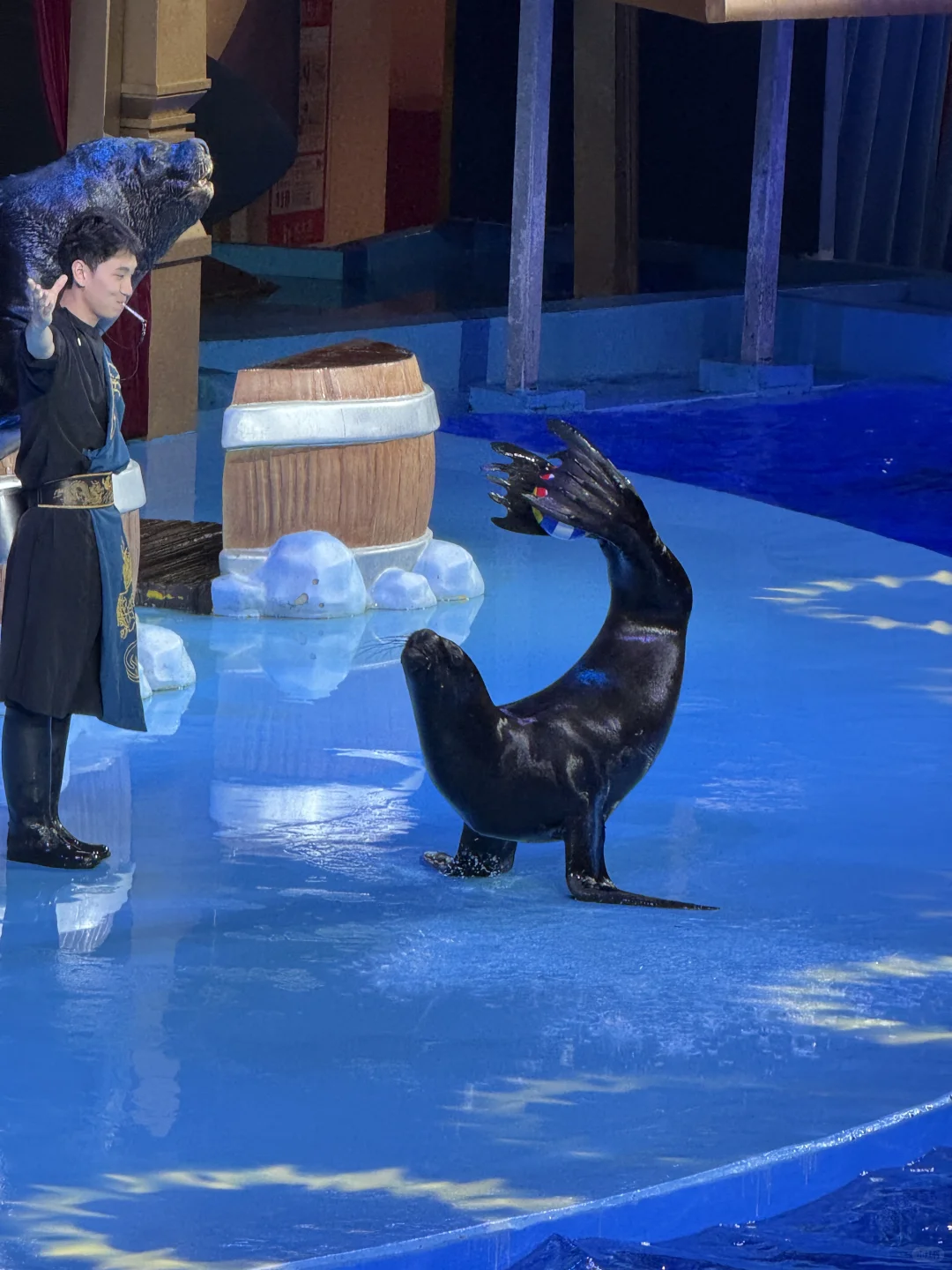 郑州海昌，五星好评