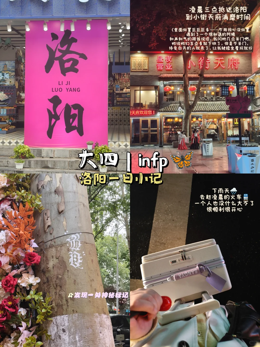 旅行plog🏮洛阳篇:一个人的走走停停