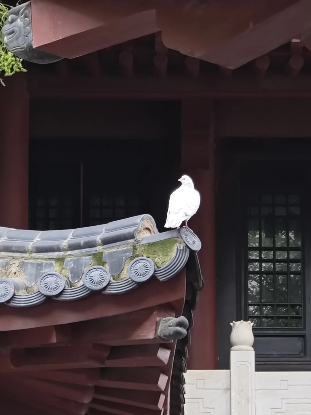 郑州旅游避雷贴💣