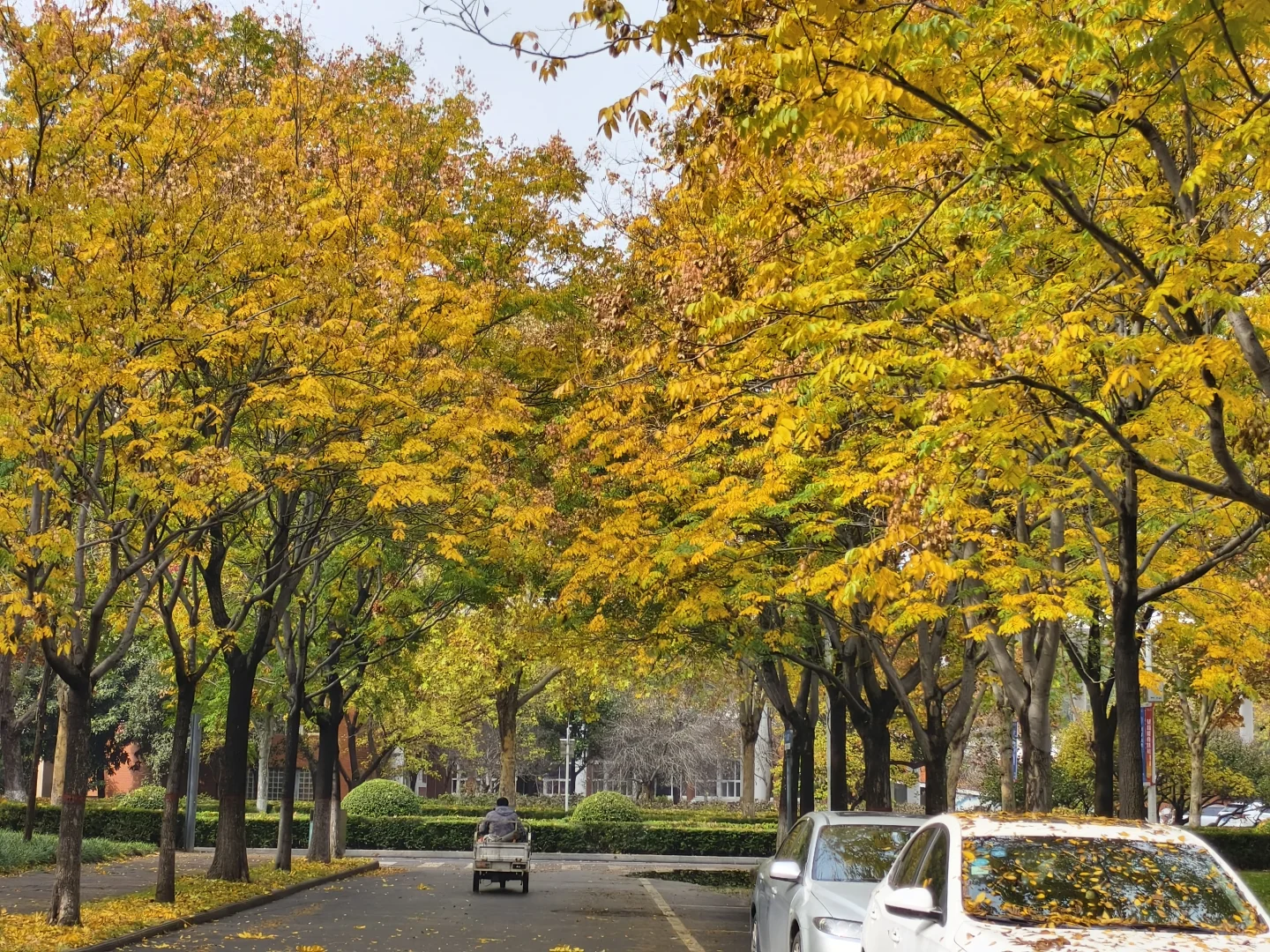 郑州，一种很北方的通感