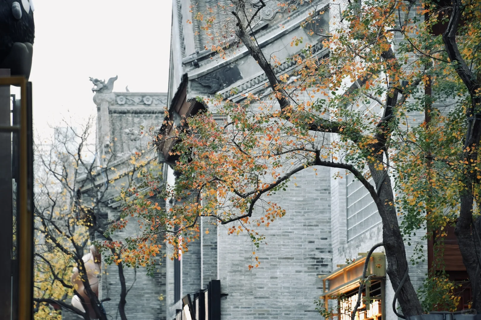 别问了，在郑州🍂