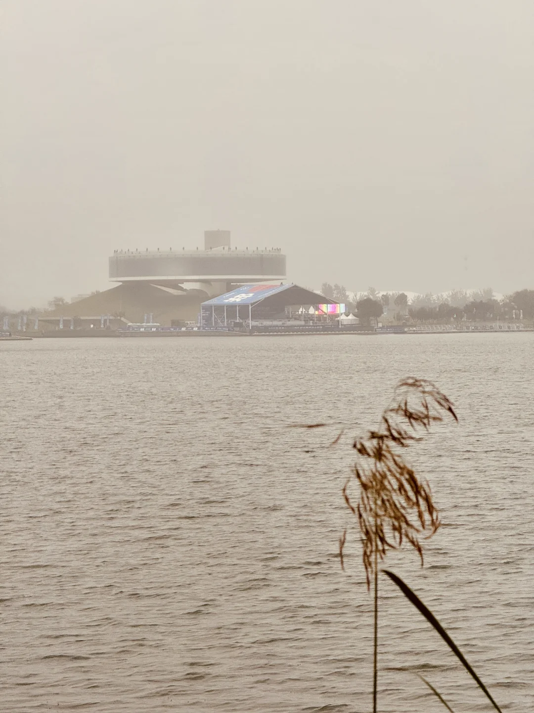 今天冒着雨拍郑州街景，风景不输江南！