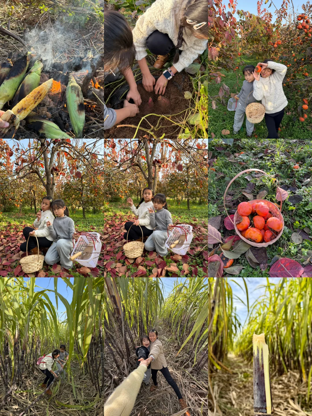 洛阳这个地方也太适合遛娃了吧！