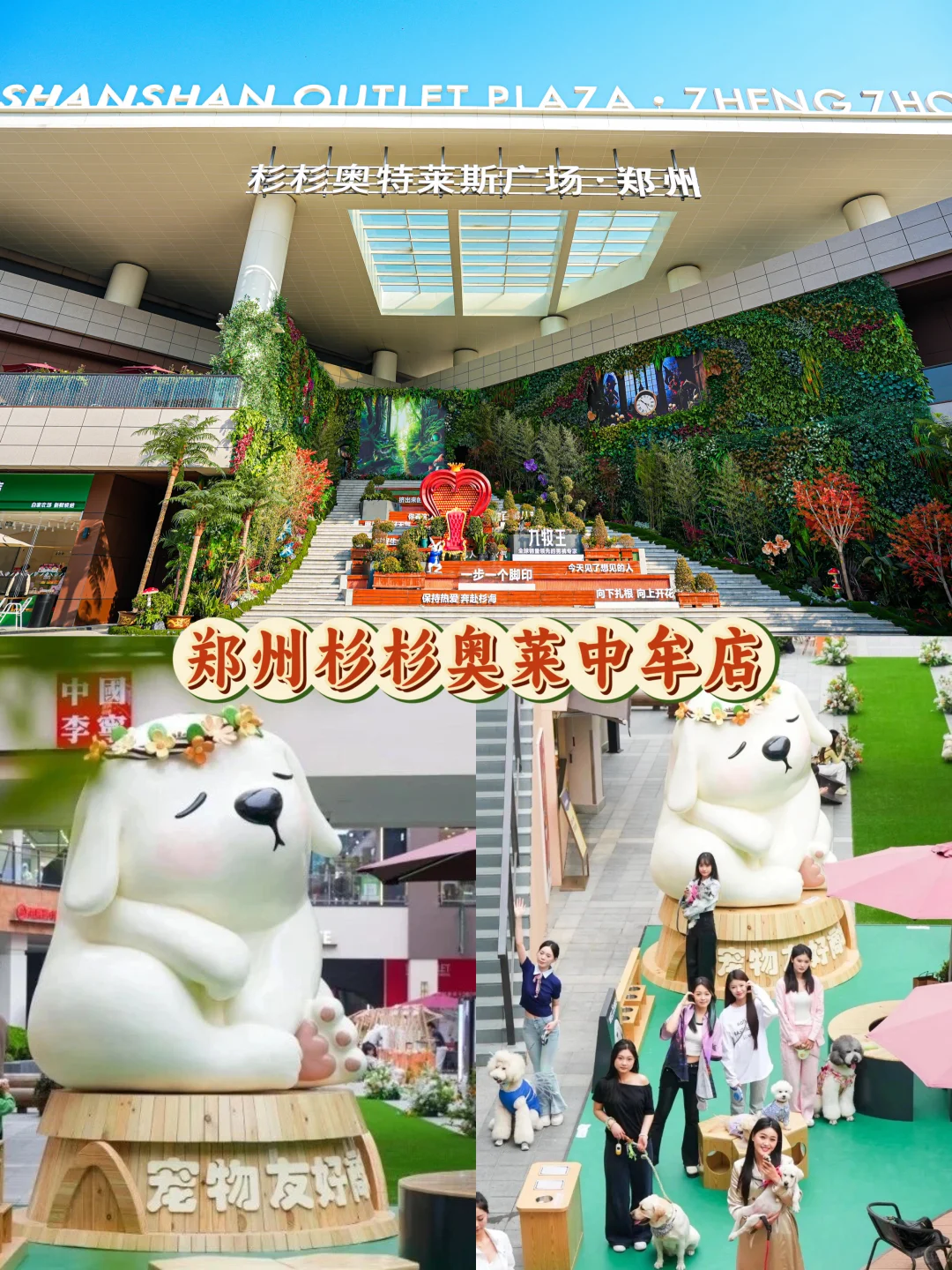 10月国庆中秋冲河南 !郑州十洛阳十开封