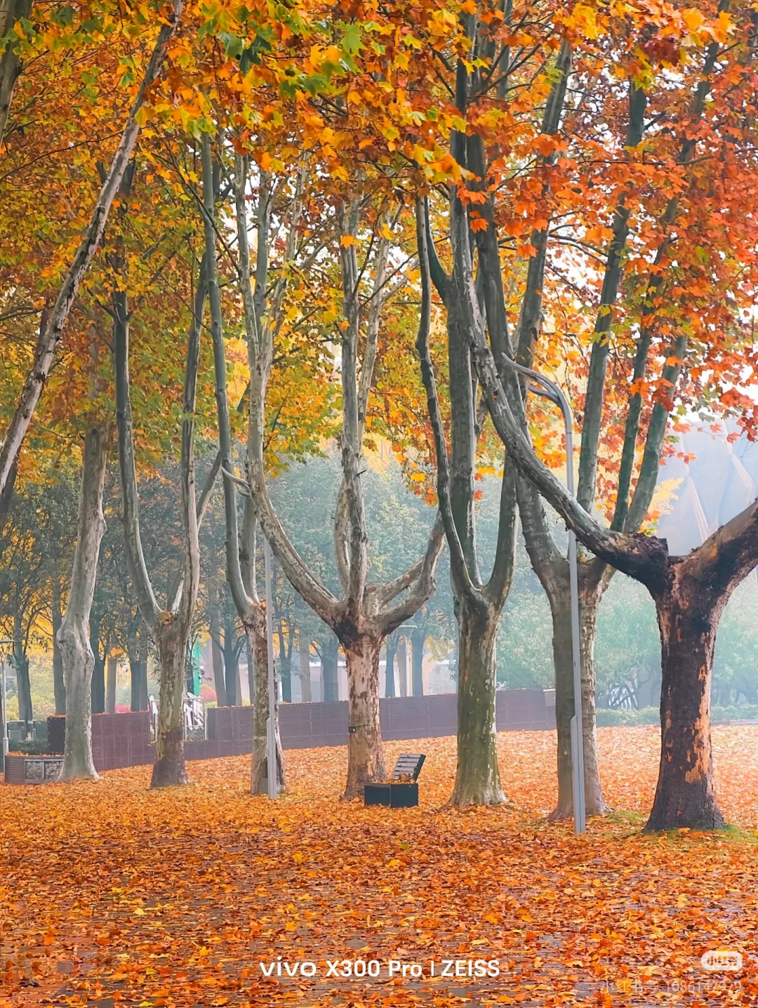 郑州满地贴纸，美哉！