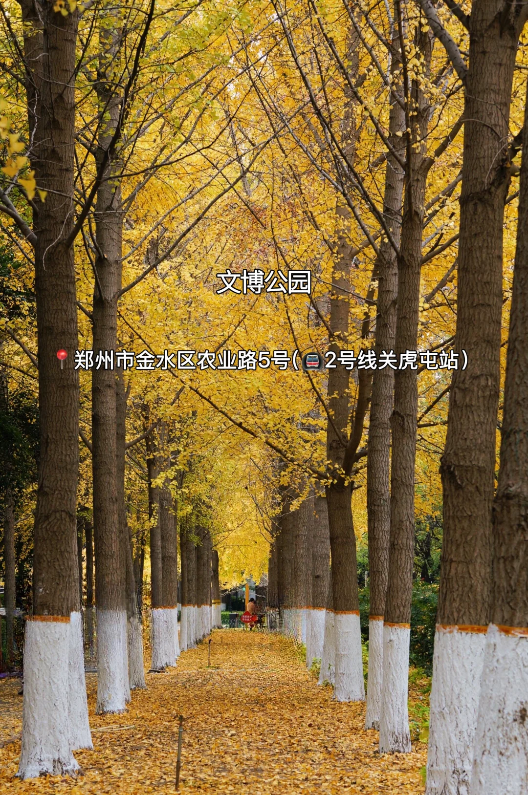 赏秋指南🍂在郑州必逛的12个秋日好去处‼️